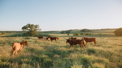 craig ranch